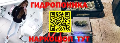 скорость Ливны