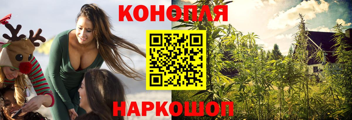 Канабис планчик  Каннабис план  Гатчина  Вход с VPN 